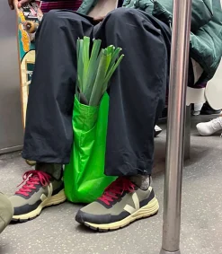 DEKKAN RIPSTOP KAKI PIERRE<VEJA New