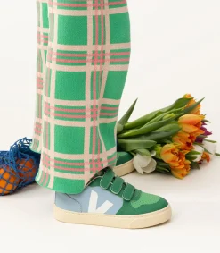 V-10 X THE ANIMALS OBSERVATORY STEEL<VEJA New