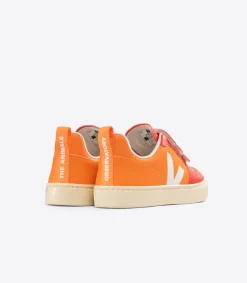 V-10 X THE ANIMALS OBSERVATORY ORANGE<VEJA Hot
